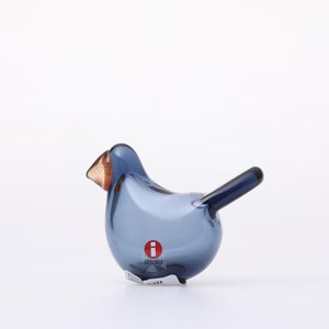 Birds Sieppo レイン×レッド 0653