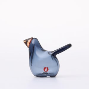 Birds Sieppo レイン×レッド 0678