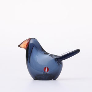 Birds Sieppo レイン×レッド 0684