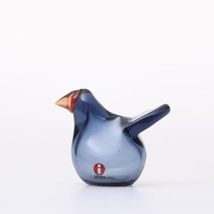 Birds Sieppo レイン×レッド 0699