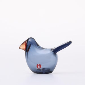 Birds Sieppo レイン×レッド 0700