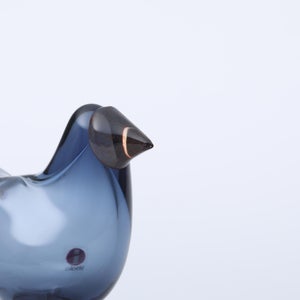 Birds Sieppo レイン×レッド 0614