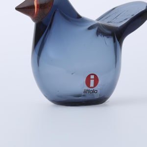 Birds Sieppo レイン×レッド 0636