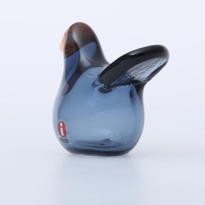 Birds Sieppo レイン×レッド 0677