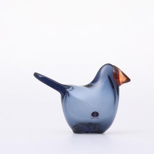 Birds Sieppo レイン×レッド 0622