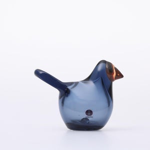 Birds Sieppo レイン×レッド 0626