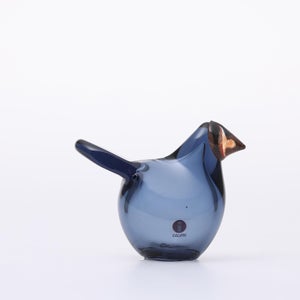 Birds Sieppo レイン×レッド 0628