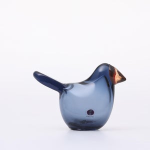 Birds Sieppo レイン×レッド 0638