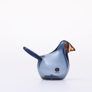 Birds Sieppo レイン×レッド 0640