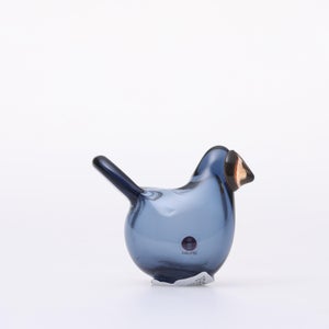 Birds Sieppo レイン×レッド 0643