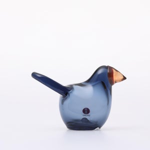 Birds Sieppo レイン×レッド 0644