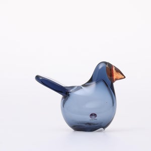 Birds Sieppo レイン×レッド 0655