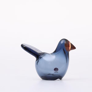 Birds Sieppo レイン×レッド 0657