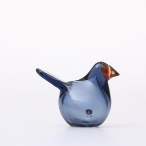 Birds Sieppo レイン×レッド 0664