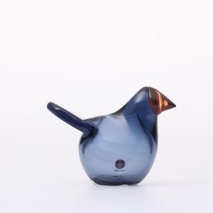 Birds Sieppo レイン×レッド 0673