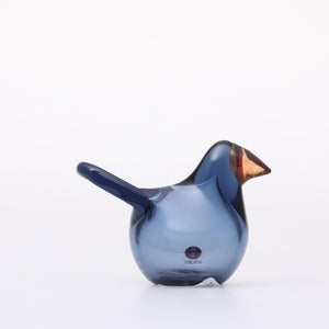 Birds Sieppo レイン×レッド 0677