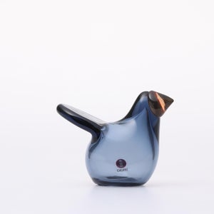 Birds Sieppo レイン×レッド 0678