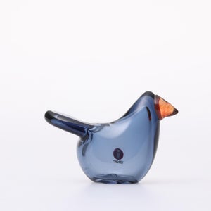 Birds Sieppo レイン×レッド 0685