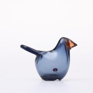 Birds Sieppo レイン×レッド 0688