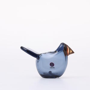 Birds Sieppo レイン×レッド 0694