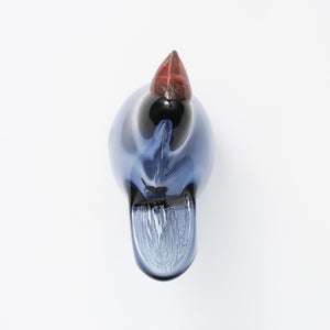 Birds Sieppo レイン×レッド 0624