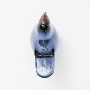 Birds Sieppo レイン×レッド 0626