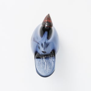 Birds Sieppo レイン×レッド 0628