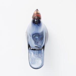 Birds Sieppo レイン×レッド 0629