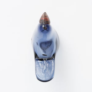 Birds Sieppo レイン×レッド 0638