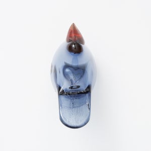 Birds Sieppo レイン×レッド 0667