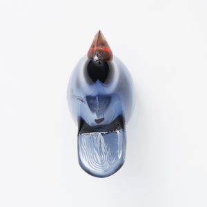 Birds Sieppo レイン×レッド 0672