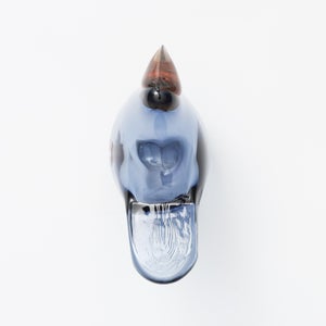 Birds Sieppo レイン×レッド 0682