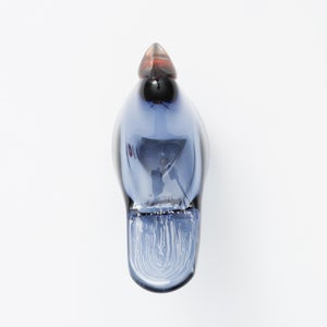 Birds Sieppo レイン×レッド 0691