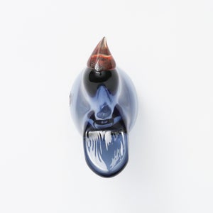 Birds Sieppo レイン×レッド 0699