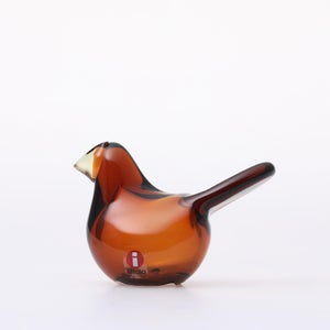 Birds Sieppo コッパー×レモン 0279