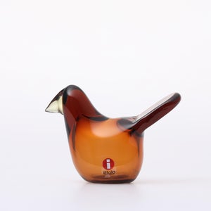 Birds Sieppo コッパー×レモン 0284