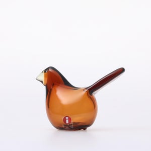 Birds Sieppo コッパー×レモン 0291