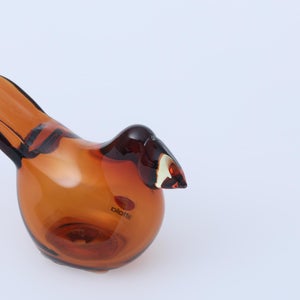 Birds Sieppo コッパー×レモン 0298