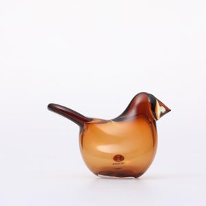 Birds Sieppo コッパー×レモン 0277