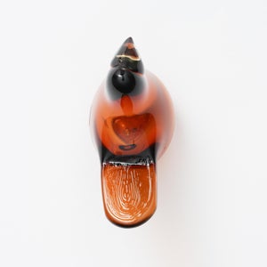 Birds Sieppo コッパー×レモン 0296