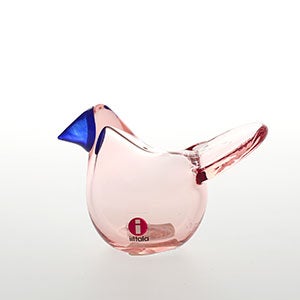 Birds Sieppo サーモンピンク×ブルー 0476