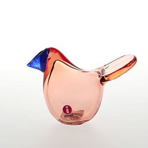 Birds Sieppo サーモンピンク×ブルー 0483