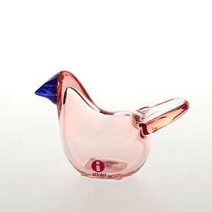 Birds Sieppo サーモンピンク×ブルー 0485