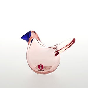 Birds Sieppo サーモンピンク×ブルー 0493