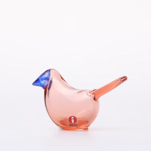 Birds Sieppo サーモンピンク×ブルー 0621