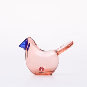 Birds Sieppo サーモンピンク×ブルー 0622