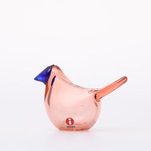 Birds Sieppo サーモンピンク×ブルー 0623