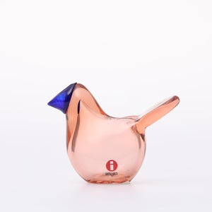 Birds Sieppo サーモンピンク×ブルー 0624