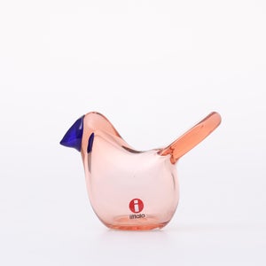 Birds Sieppo サーモンピンク×ブルー 0625