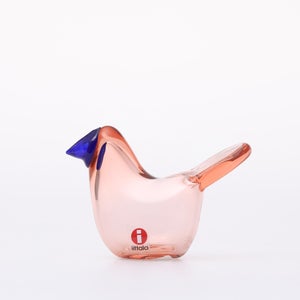 Birds Sieppo サーモンピンク×ブルー 0626